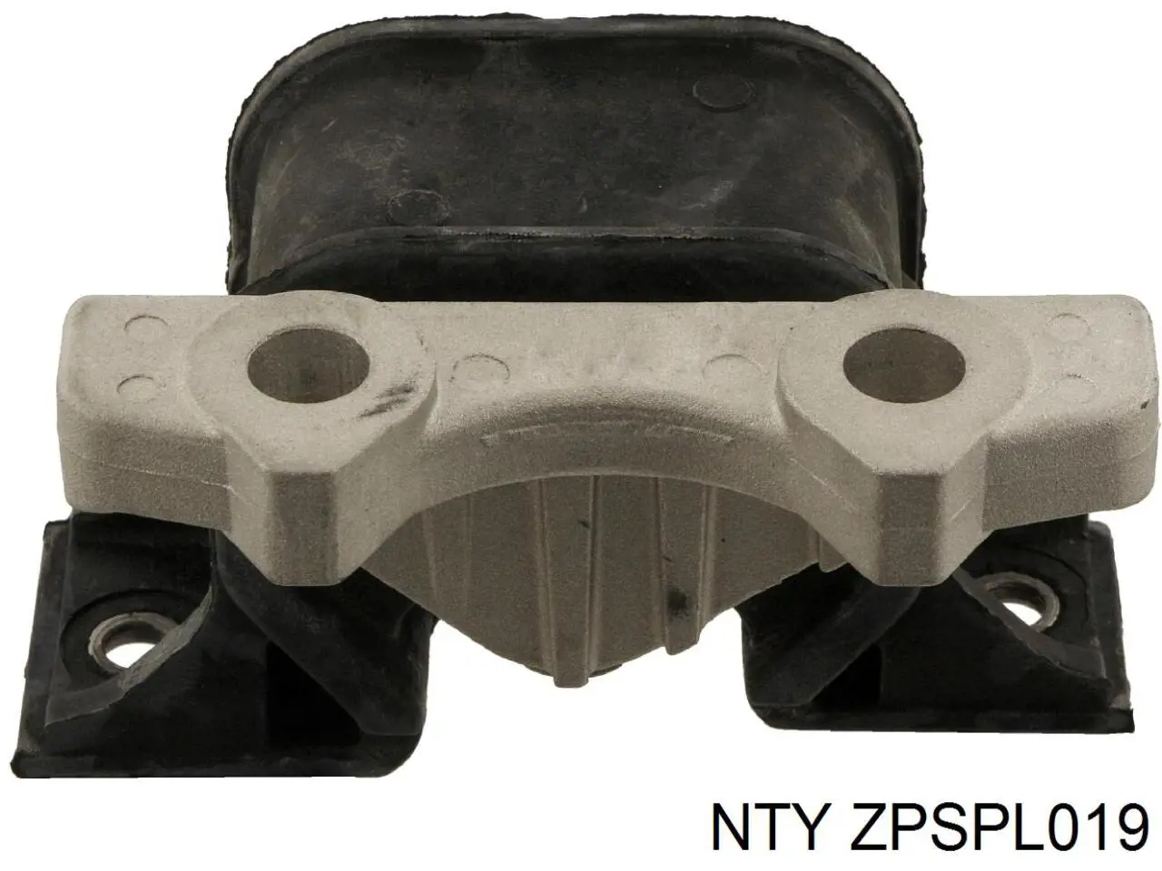 ZPSPL019 NTY