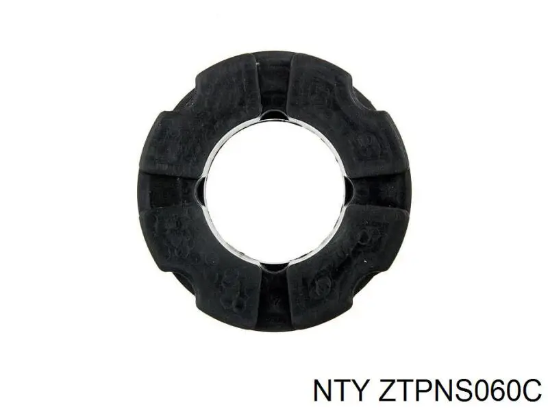 ZTPNS060C NTY