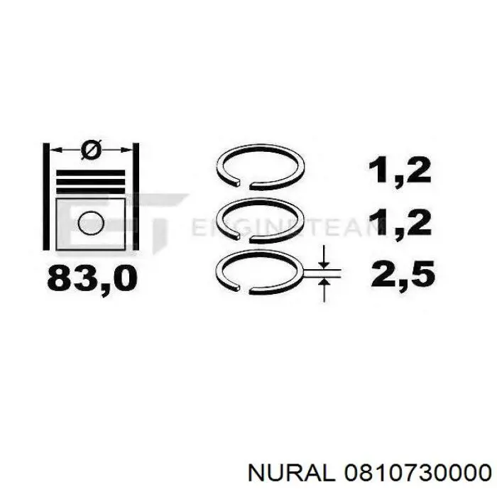 08-107300-00 Nural кольца поршневые на 1 цилиндр, std.