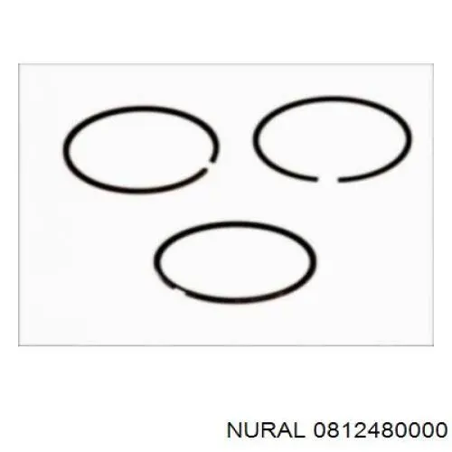 Кольца поршневые FR10209700 Freccia