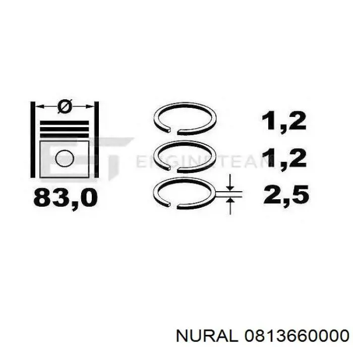 9216000 NE/NPR кольца поршневые на 1 цилиндр, std.