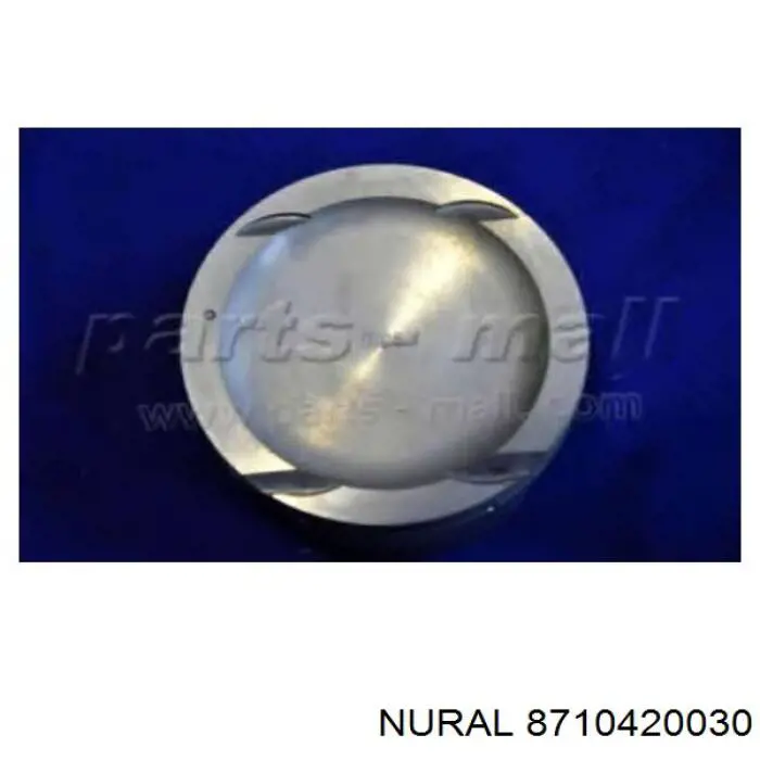 8710420030 Nural поршень в комплекте на 1 цилиндр, std