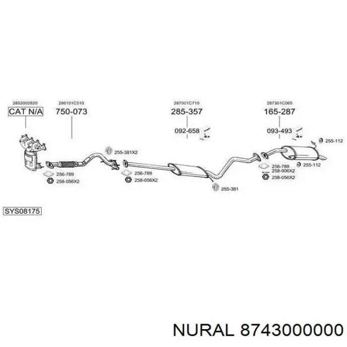 8743000000 Nural Поршень в комплекте на 1 цилиндр, STD