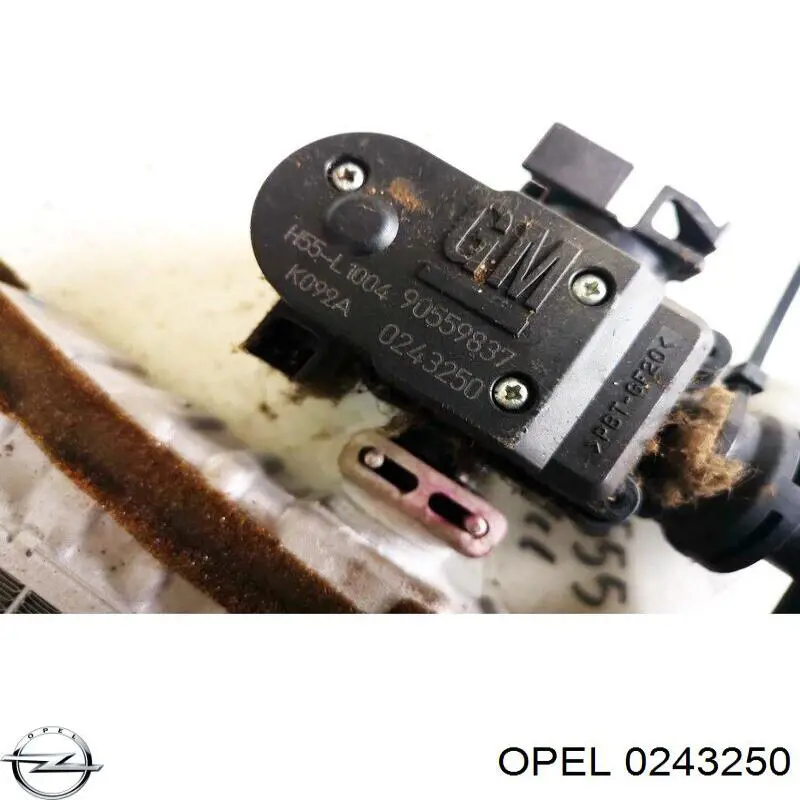  Opel 0243250 цена, от 15.20 USD