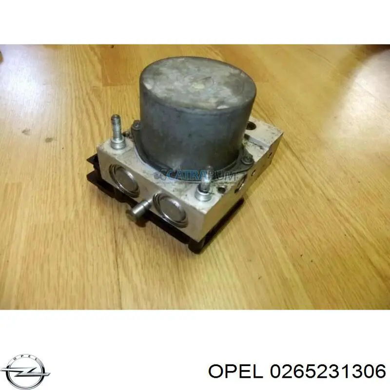0265231306 Opel 