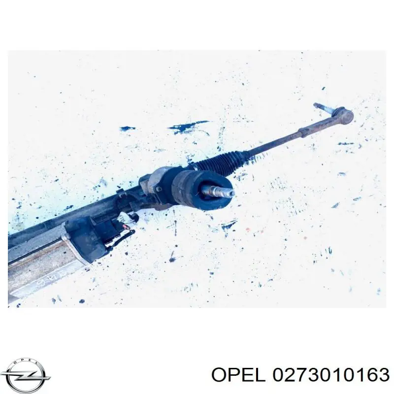 0273010163 Opel 