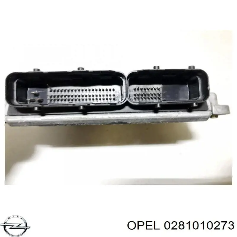 0281010273 Opel 