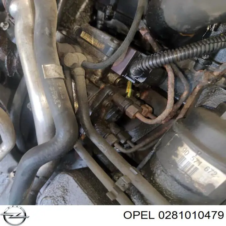 0281010479 Opel Мозги двигателя