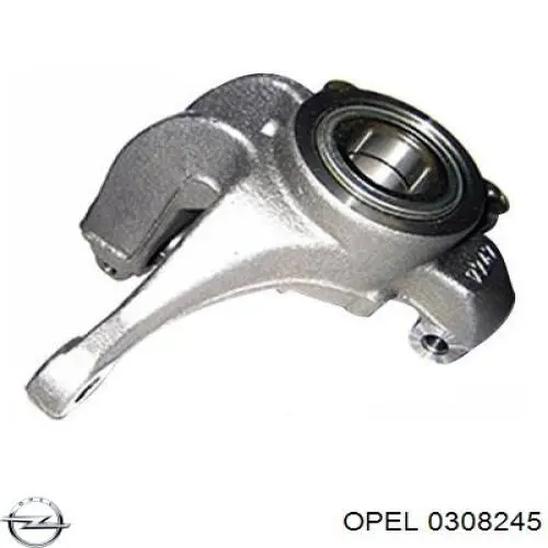 Цапфа передняя левая BSP25171 Bugiad