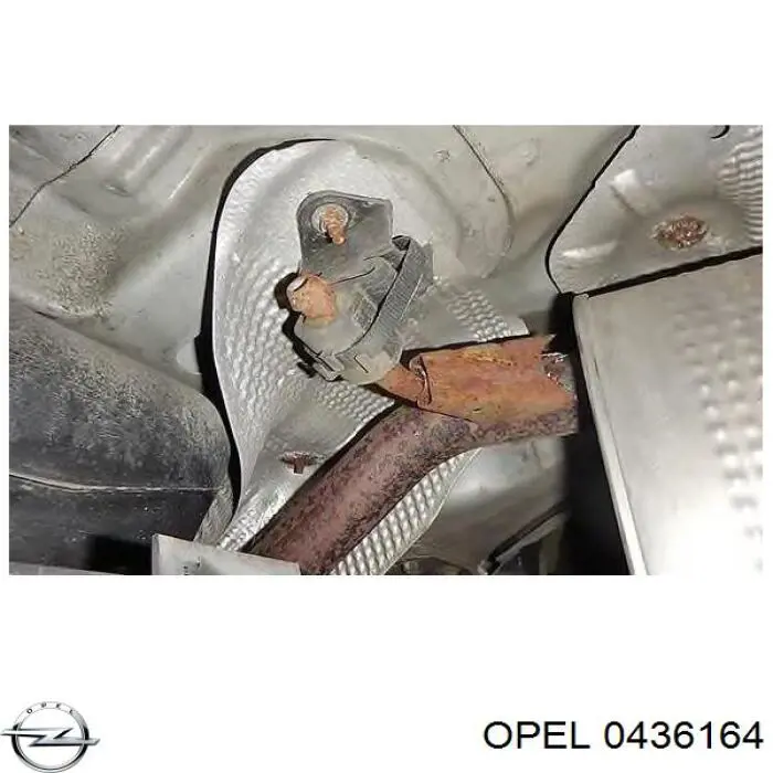 Стойка амортизатора задняя Opel 0436164 цена, от 18.95 USD