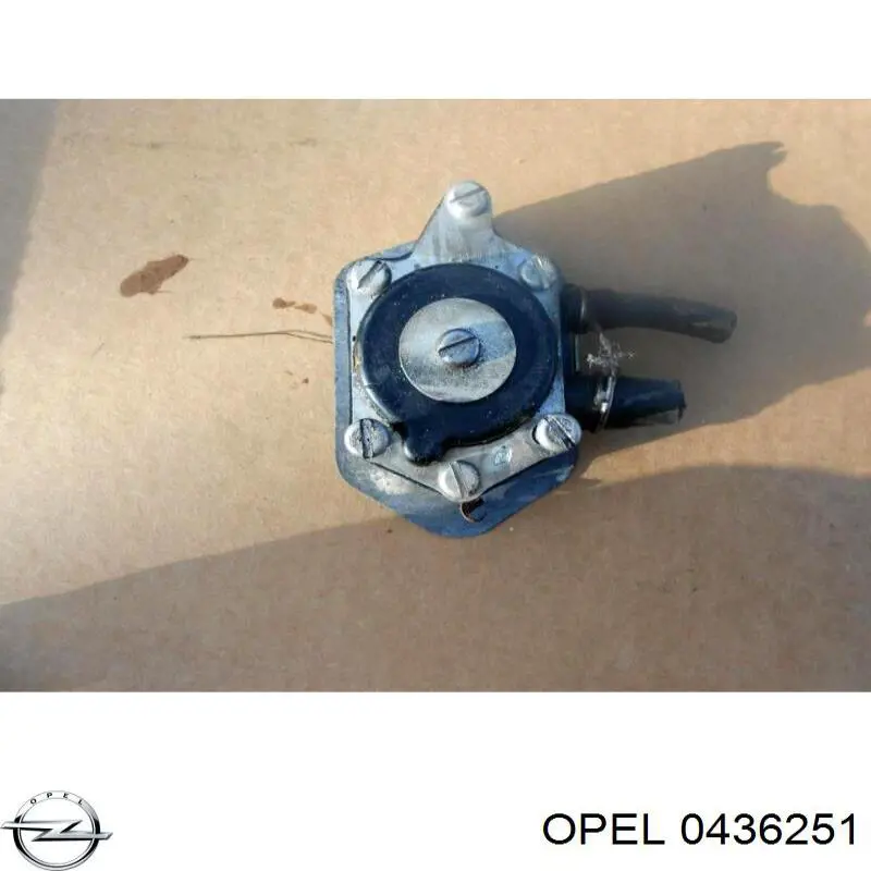 0436251 Opel амортизатор задний