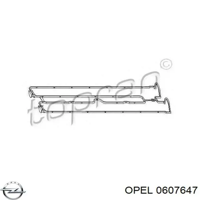 0607647 Opel прокладка клапанной крышки