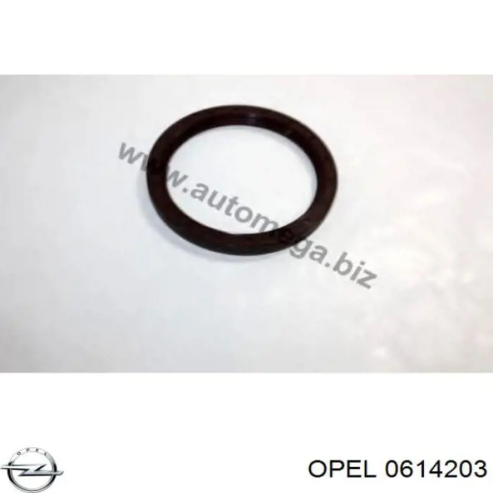 Сальник коленвала задний Opel 0614203 цена, от 6.19 USD