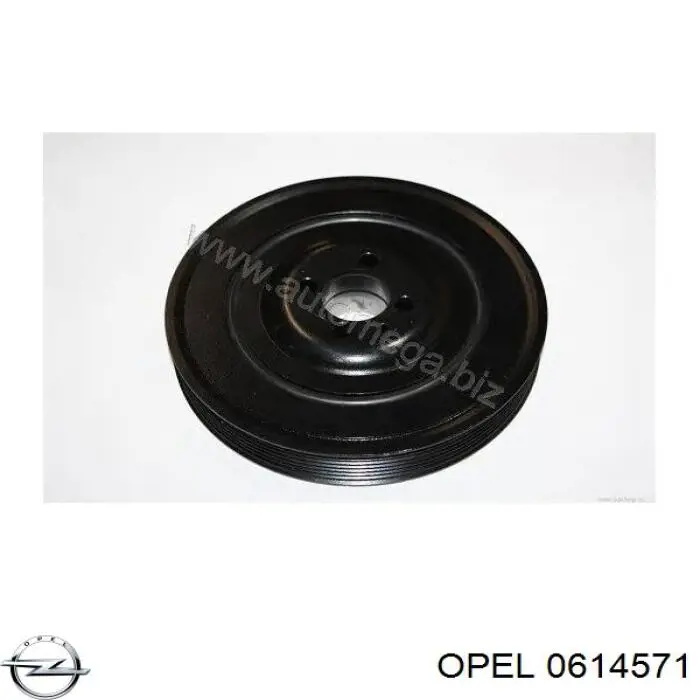 Шкив коленвала (демпфер) Opel 0614571 цена, от 81.42 USD