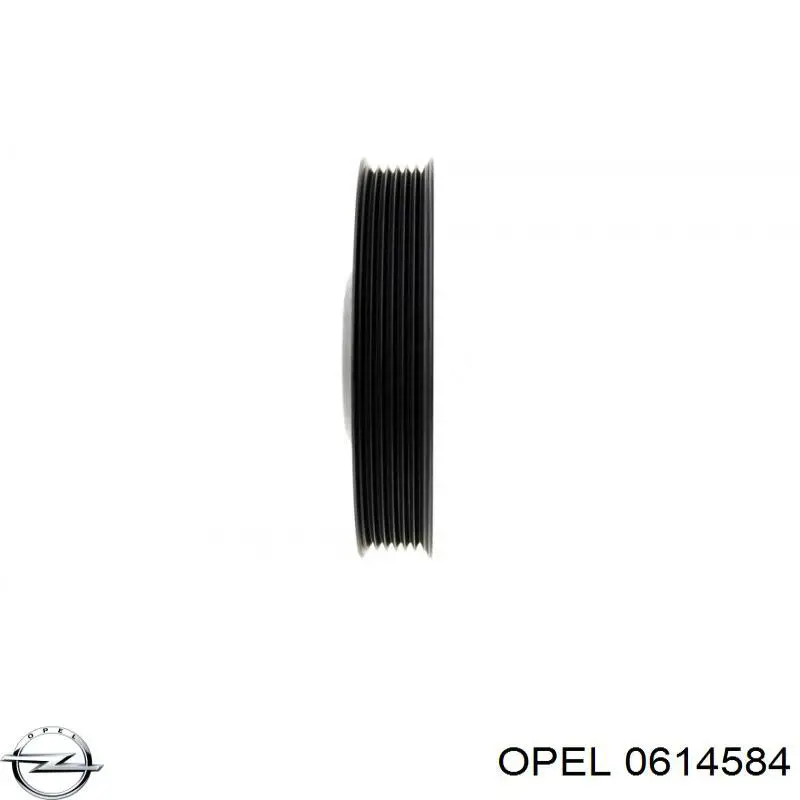 Шкив коленвала (демпфер) Opel 0614584 цена, от 63.38 USD