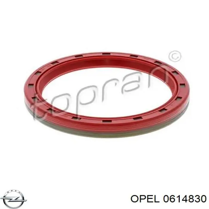 Купить 0614830 Opel Сальник коленвала задний