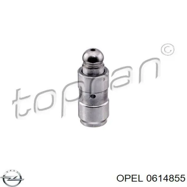 0614855 Opel сальник коленвала двигателя задний