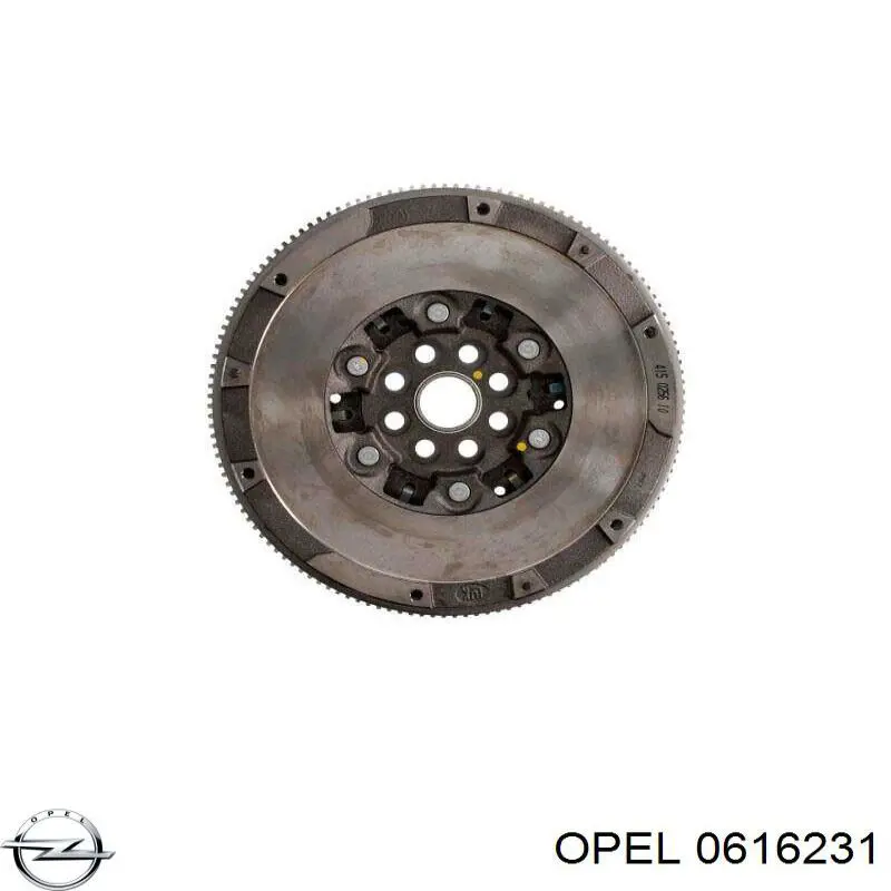 0616231 Opel маховик
