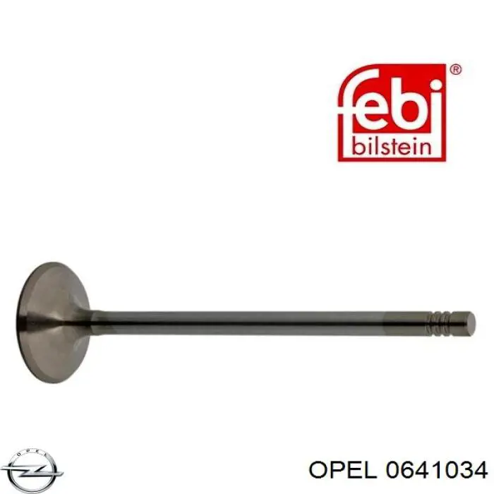 0641034 Opel клапан впускной