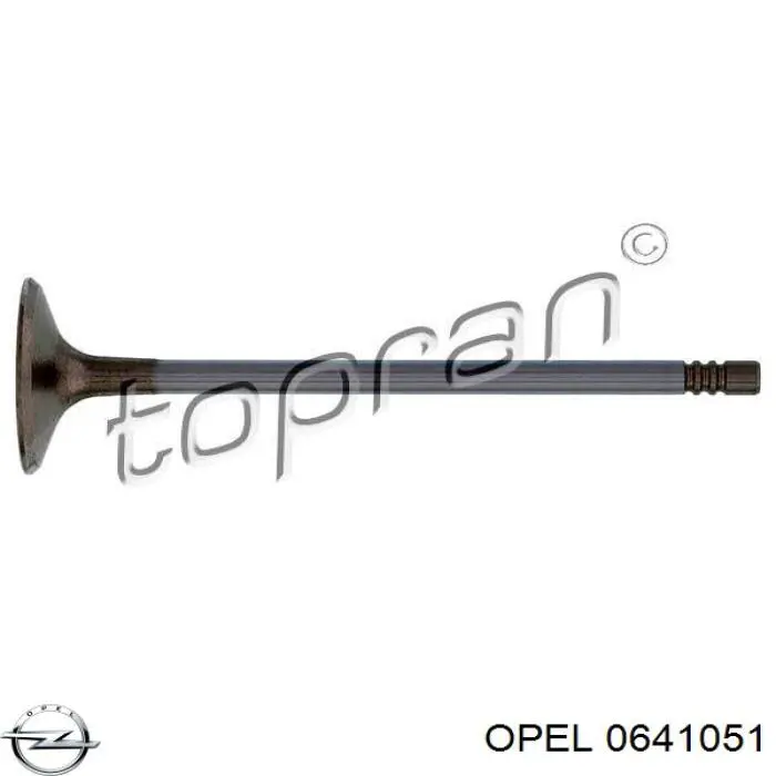 0641051 Opel впускной клапан