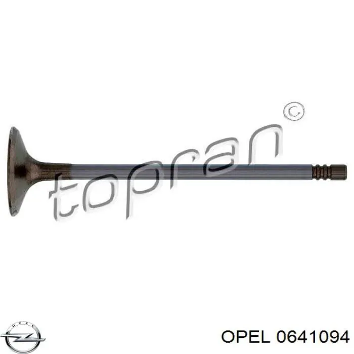 0641094 Opel клапан впускной