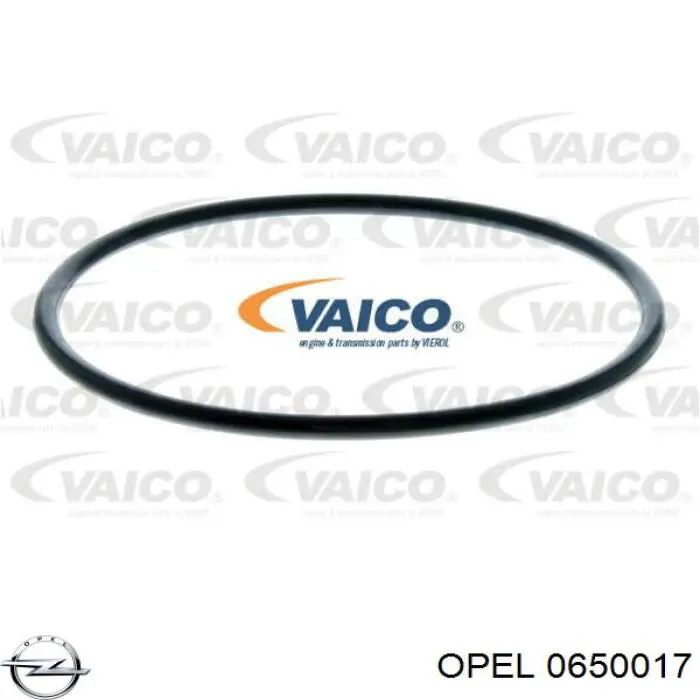 Фильтр масла Opel 0650017