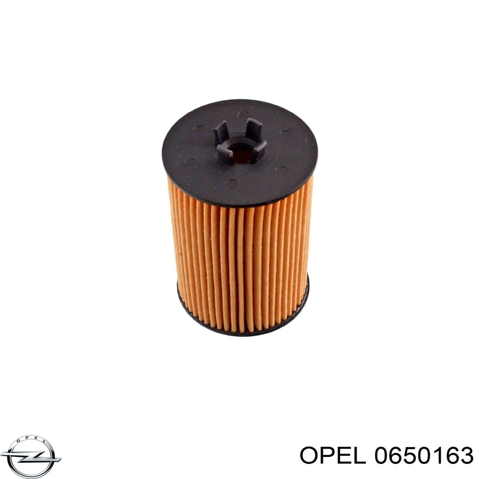 0650163 Opel масляный фильтр