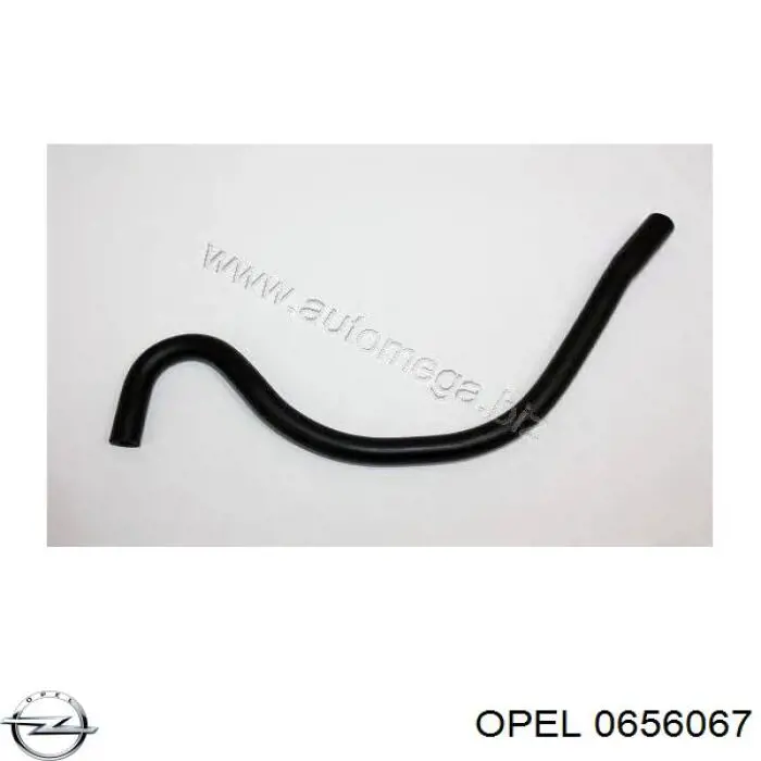 0656067 Opel Шланг для удаления воздуха