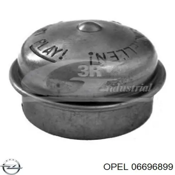 Заглушка ступицы Opel 0330388