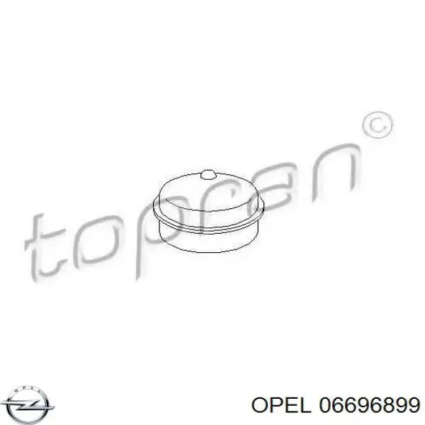 0330388 Opel Заглушка ступицы