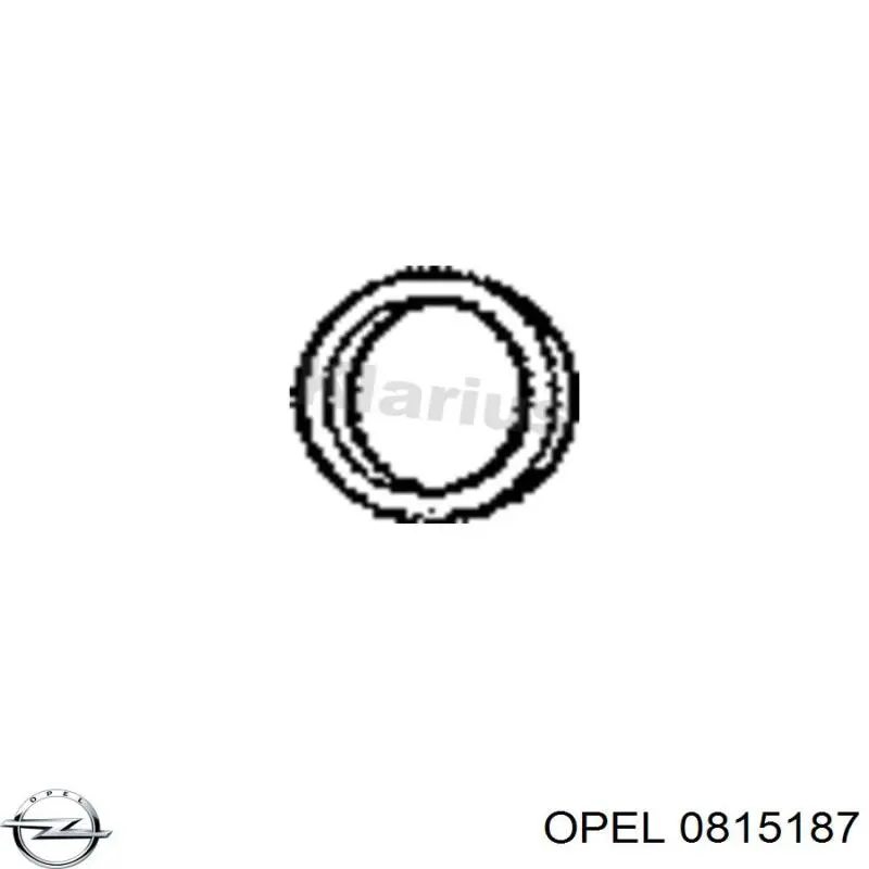 Бензонасос 13268622 Opel