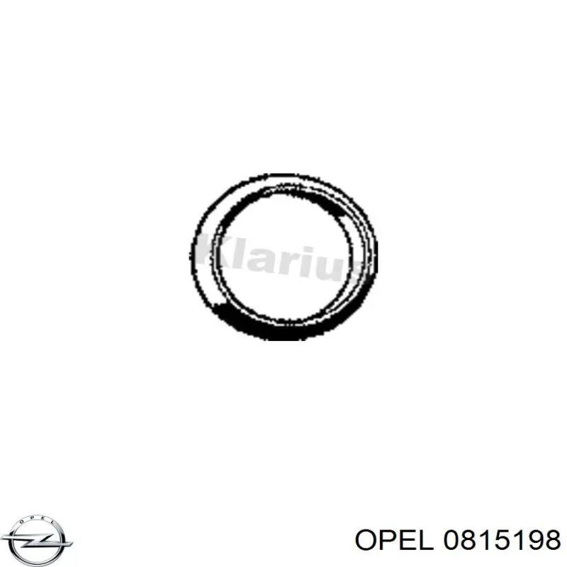 Регулятор давления топлива в топливной рейке Opel 0815198