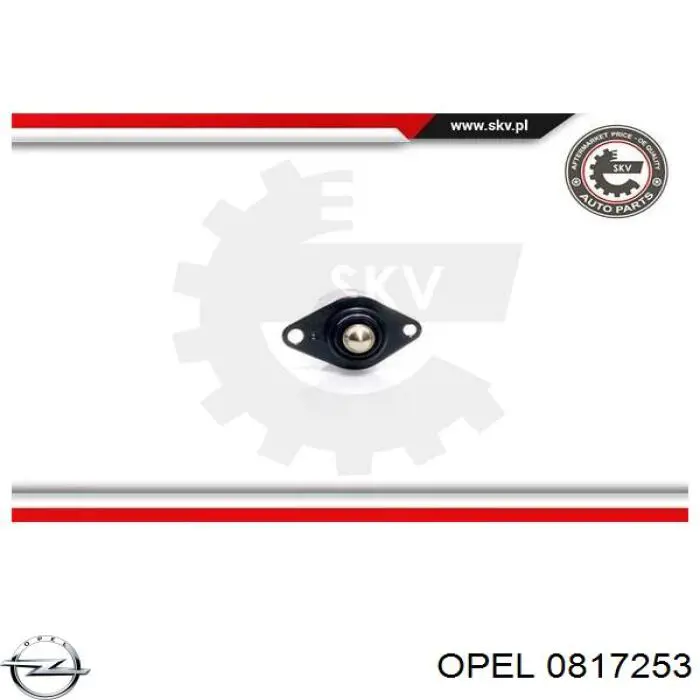 Регулятор холостого хода 0817253 Opel