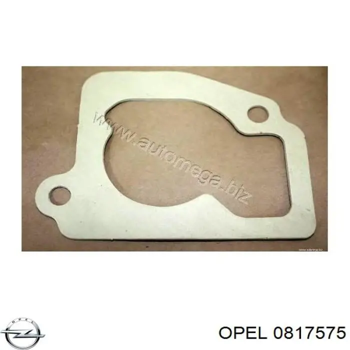 0817575 Opel прокладка головки инжектора