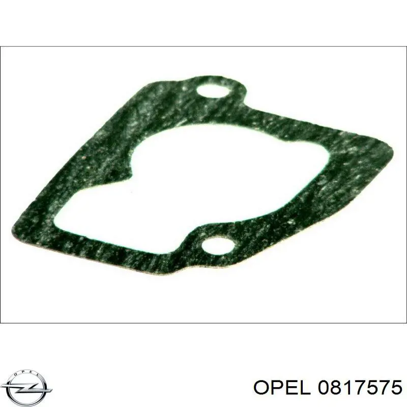 Прокладка головки инжектора Opel 0817575 цена, от 2.30 USD