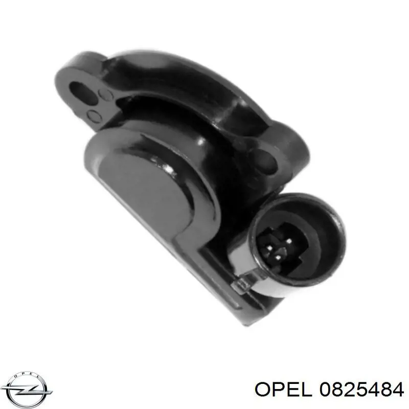 ДПДЗ Opel 0825484