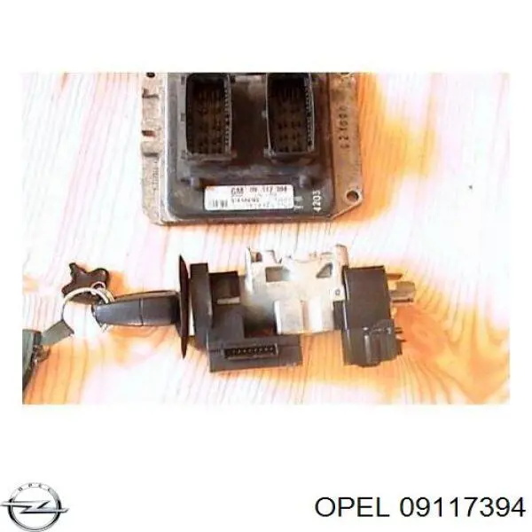 ЭБУ двигателем General Motors 09117394 цена, от 84.75 USD