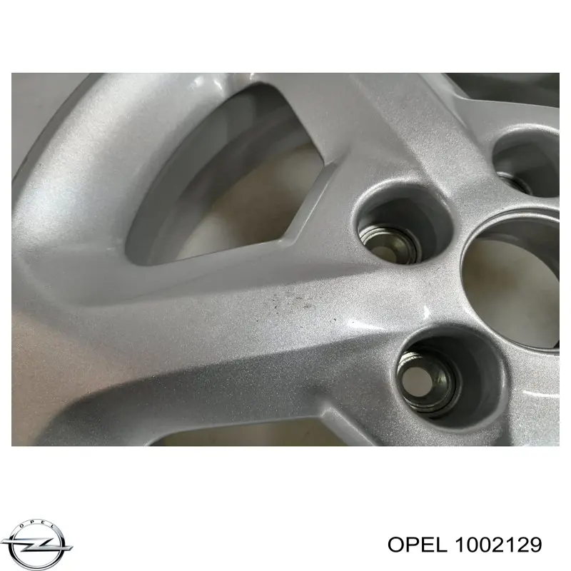 Купить 1002129 Opel Диски колесные