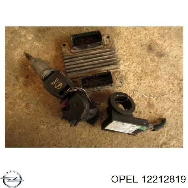 12212819 Opel Мозги двигателя