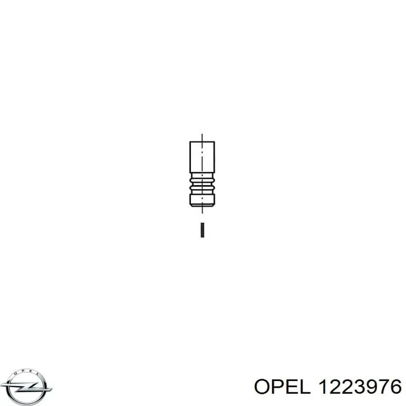 1223146 Opel Фонари задние