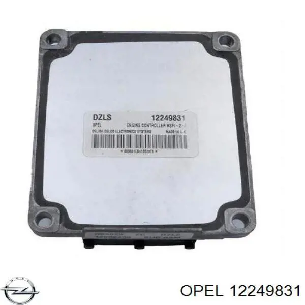 12249831 Opel Мозги двигателя