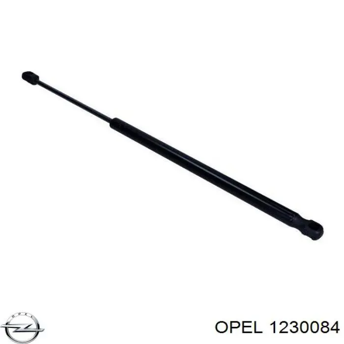  Opel 24436443 цена, от 8.24 USD