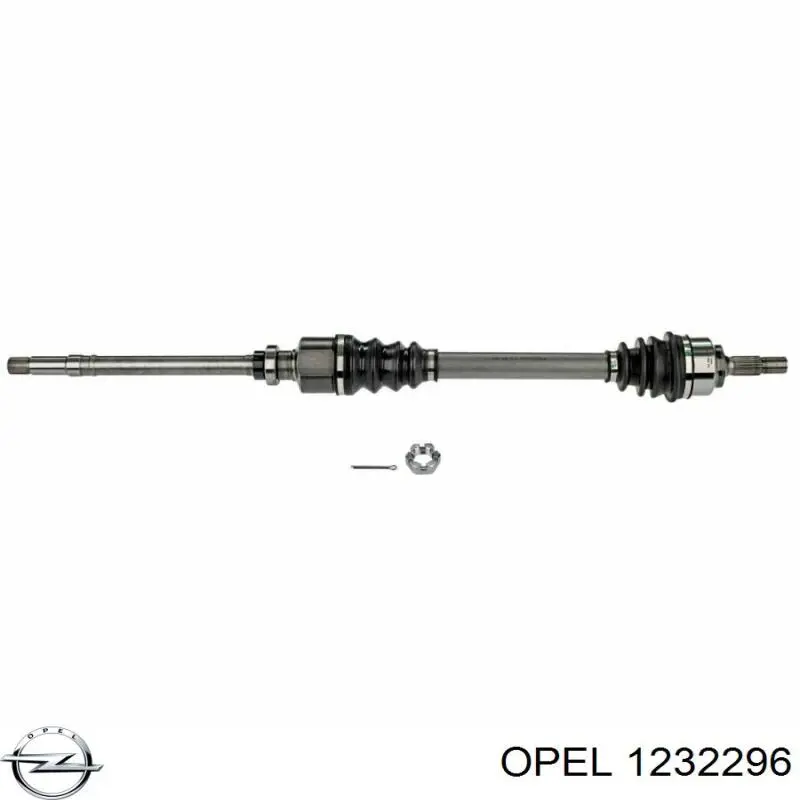 55568385 Opel Мозги двигателя