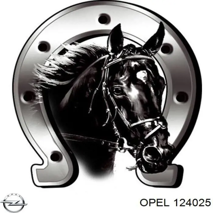 124025 Opel дверь задняя левая