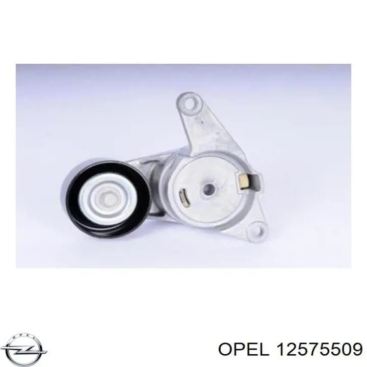 12575509 Opel паразитный ролик