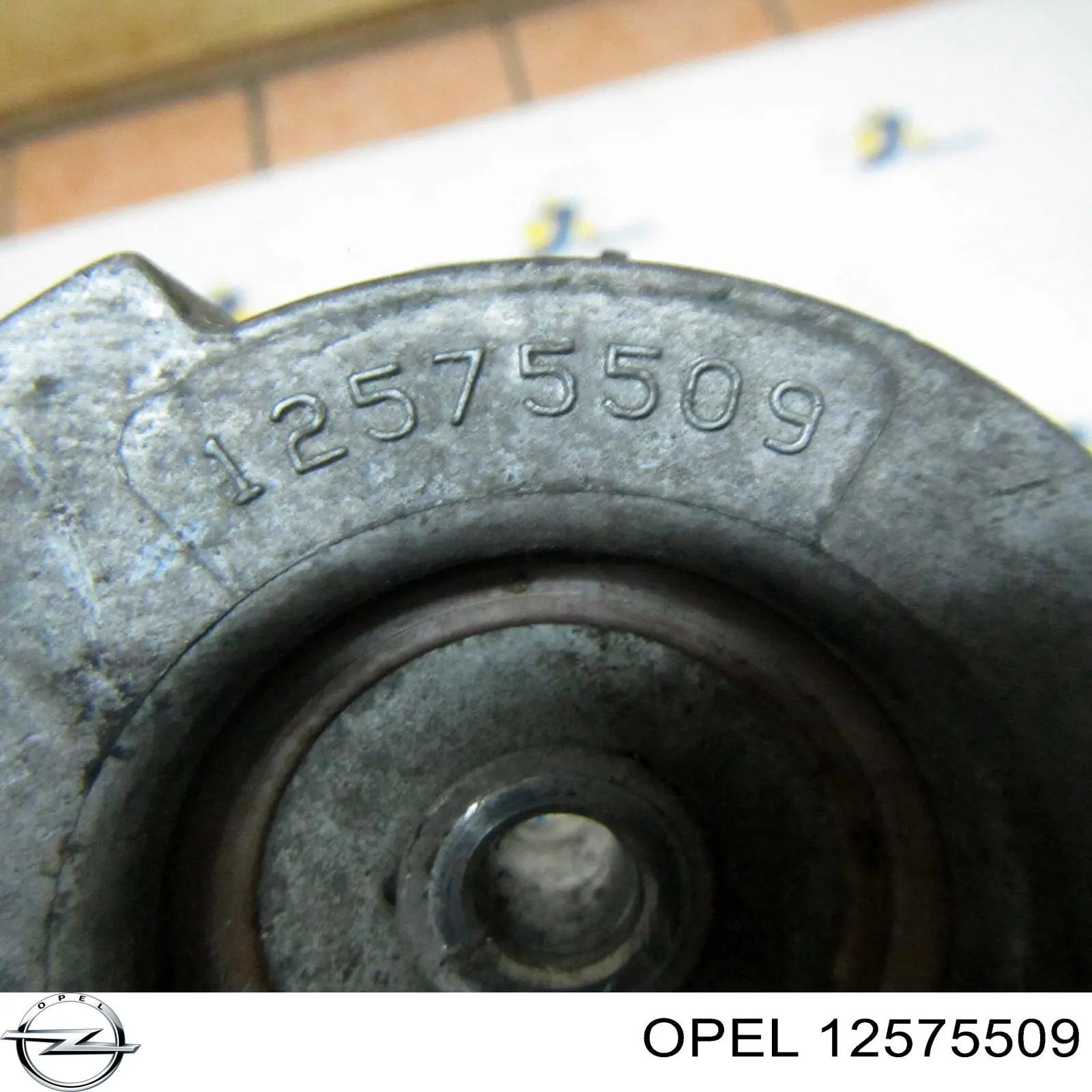 Купить 12575509 Opel Паразитный ролик