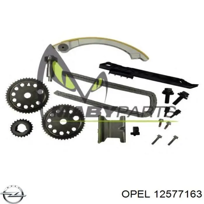 12577163 Opel форсунка масляная