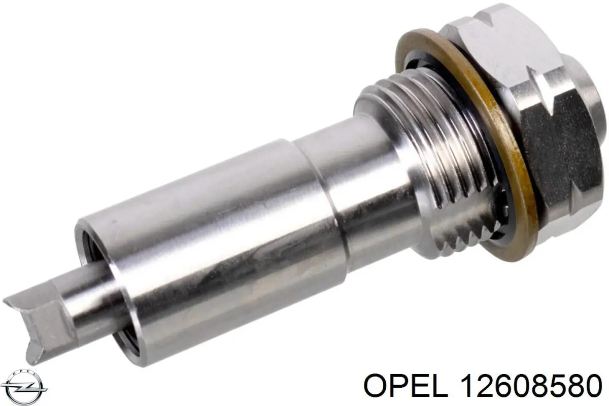 Натяжитель цепи ГРМ Opel 12608580