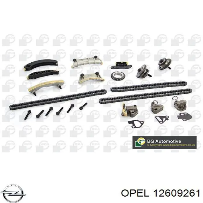 Натяжитель цепи ГРМ левый Opel 12609261 цена, от 40.42 USD