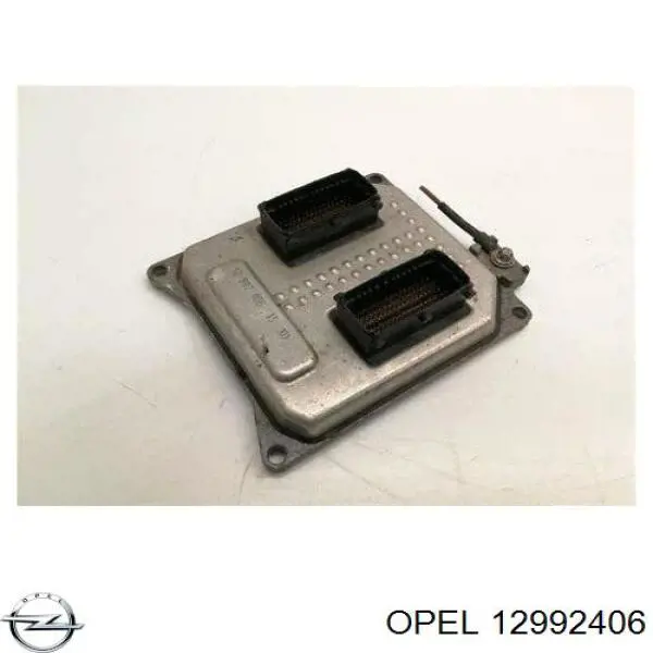 12992406 Opel Мозги двигателя